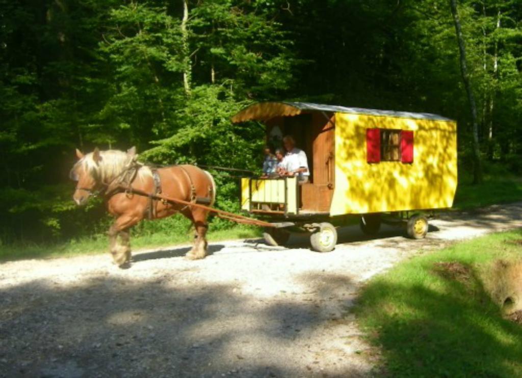 Che'Val D'Amour Ecleux Exterior photo